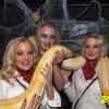 31.10.2017 Schelloween Bilder von Lothar